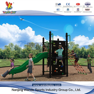 Wd-QS018が付いている遊園地の上昇の純遊園地の子供の屋外の運動場装置